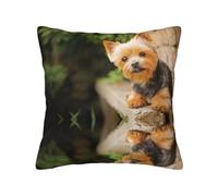Funda de almohada con cremallera oculta, de poliéster, diseño de perro bokeh, diseño de Yorkshire Terrier Bokeh