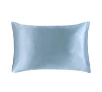 Funda de Almohada de Seda Funda de Almohada con Cremallera, 1 par, 2 Lados, Funda Seda for una Sola Saludable para Mujeres y Hombres(Light Blue,40x60 cm)