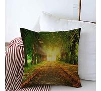 Funda De Almohada Magic Arch Fall Walkway Autumn Park View Perspective Nature Alley Parks Sunbeams Green In Cojin Fundas Cómoda Funda Almohadas 45X45 CM