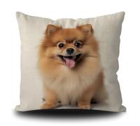 Funda de almohada para perro Pomerania Divertido Perro Cachorro Arte Decorativo Funda de almohada para sofá Sofá Cama Amante de los Perros Regalo Lino Blanco 40 x 40 cm Doble Cara Estilo 3