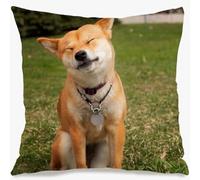 Funda de almohada personalizada de 18 x 18 pulgadas, sin relleno, imágenes ni texto, funda de almohada personalizada de una sola cara, regalos personalizados para festivales