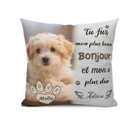 Funda de Almohada Personalizada para Perros - Foto y Nombre Doble Cara - Regalo Recuerdo Mascotas - Homenaje a Tu Perro