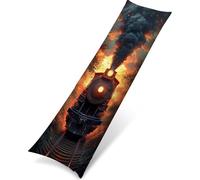 Funda de Cojines 1 Piezas Funda de Almohada Cojin Sofa, Exteriores Jardín Cojines, para Silla Cama Sala de Estar Dormitorio Salón Decorativo Impermeable Cojin 50 x 150 cm Paisaje Tren PjY4135 N-5