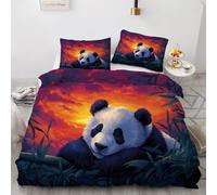 Funda Nórdica Cama 105 Panda Funda Edredon 200x200 Microfibra Suave, Ropa de Cama Animales 3 Piezas - Funda Nordica Panda y 2 Funda de Almohada 50x80 con Cremallera