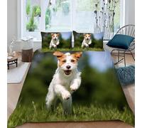 Funda Nordica Cama 180 Jack Russell Terrier Funda Nórdica Edredon Césped al Aire Libre Fundas Nórdicas 260x240 Microfibra Suave Ropa de Cama con Cremallera y 2 Fundas de Almohada 50x75 J.3996