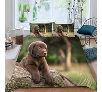 Funda Nordica Cama 180 Labrador Retriever Marrón Impresión 3D Ropa de Cama Cachorrito Lindo Suave Microfibra Funda de Edredón 240x260 cm con Cremallera y 2 Fundas De Almohada 50x75 cm n.1091