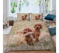 Funda Nordica Cama 180 Setters Irlandeses Impresión 3D Ropa de Cama Cachorrito Lindo Suave Microfibra Funda de Edredón 240x260 cm con Cremallera y 2 Fundas De Almohada 50x75 cm n.1829