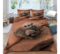 Funda Nordica Cama 180 Suricata Juego de Ropa de Cama de Suave Microfibra Animales PequeñOs Funda NóRdica 260x240 cm con Cremallera y 2 Funda de Almohada 50x75 cm ba1350