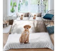 Funda Nordica Cama 90 Golden Retriever Impresión 3D Ropa de Cama Cachorrito Lindo Suave Microfibra Funda de Edredón 150x200 cm con Cremallera y 2 Fundas De Almohada 50x75 cm n.2156