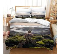 Funda Nórdica con Burro Poliéster Microfibra Juego De Cama Paisaje Volcánico con Fundas De Almohada para Chicas, Chicos, Adolescentes Y Adultos Double（200x200cm）