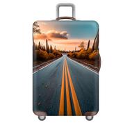 Funda para Equipaje De Viaje,Ciudad,Animales,LeóN,Cielo Estrellado,Espacio Exterior Funda Protectora para Maleta,EláStica,Lavable,Resistente A ArañAzos,para NiñOs,Ado,Adultos (Naranja,L(25-28inch))
