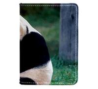 Funda para pasaporte, piel sintética, organizador de documentos de viaje, protector de panda gigante comiendo hojas de bambú, Varios colores, 10x14cm/4x5.5 in