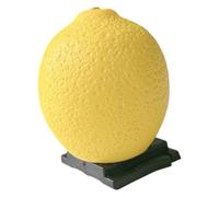 Funda protectora de resina con patrón de frutas para cámaras réflex digitales, para prevención, cubierta de zapata para accesorios de fotografía