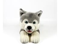 FUNDACIÓN BOCALAN - Peluche Husky Tumbado 25cm - + 0 Meses (DeQube 939D00295)