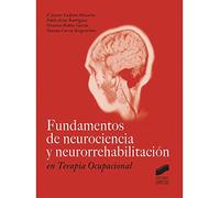 Fundamentos de neurociencia y neurorrehabilitación en Terapia Ocupacional