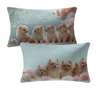 Fundas Cojines 30x50 cm Cojines Exterior Juego De 2 Funda Cojin Azul Claro Funda Almohada Terciopelo Doble Cara Patrón Cushion Covers para Sofá Dormitorio Cama Balcones Decorativos, Animal 2m-52