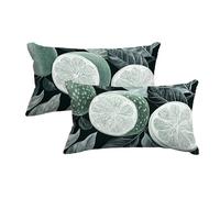 Fundas Cojines 30x50 Limón Juego de 2 Funda Almohada 30x50 cm de Terciopelo Funda Almohada con Zipper para Decoracion Hogar Fundas Cojines Fruta para Cama Sofá Dormitorio y Salón, Regalo Mujer -5152