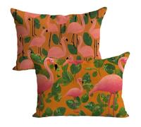 Fundas Cojines 30x50cm Rosa Funda Cojin Flamenco Cojines Sofa Terciopelo 2 Piezas Impresión de Doble,Cremallera Oculta,Decoración de Otoño Sofá Aire Libre,Banco,Silla,Balcón,Dormitorio,Coche LK-1570