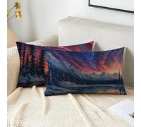 Fundas Cojines 40x60 cm Juego De 2 Cojines Exterior Invierno Funda Cojin Árbol Impermeable Terciopelo Funda Almohada Doble Cara Impresión Cushion Covers para Jardín Camping Patio Terraza Coche 2s-688