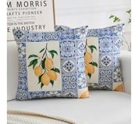 Fundas Cojines 45x45 Funda Cojin Limón Fundas Cojines Azul Bohemia Funda Cojin Lavable Poliéster Fundas de Cojines Salon Fundas de Cojín para Sala de Estar Sofa Balcón Jardin Terraza Juego de 2
