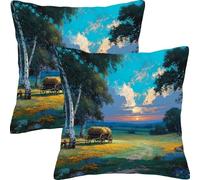 Fundas Cojines 45x45cm Juego de 2 Puesta De Sol En La Granja Funda de Cojín Impermeable Para Exteriores Funda Sofá Cojín Decorativo Cuadrado Cojines, Para Cama Hogar Decoracion Cushion Covers L7JT-629