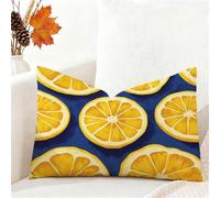 Fundas Cojines 60x80 cm Cojines Sofa Azul Terciopelo Funda Cojin Limón Cushion Covers Doble Cara Impresión Pillow Case para Navidena Decoración Jardín Sala de Estar Dormitorio Sofá Cama Coche 1h-482