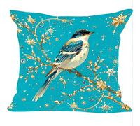 Fundas Cojines Juego de 2 Piezas, 40x40cm, Star Birdie, Cojines Decorativas de Terciopelo, Fundas de Cojines Cuadradas de Lino, para Cuatro Estaciones Decoración Hogar Sofá Dormitorio ZY7X-840