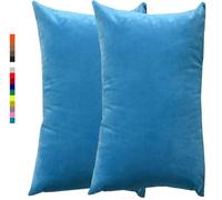 Fundas de Almohada 50x70 40x70 2 piezas, Funda de Cojín 40x60 Azul Gris Terciopelo, Cushion Covers Decorativa con Cremallera Ocultar Funda Cojín Sofá Ajustable Funda Cojín(3 Sky Blue,40x70 cm 2pcs)