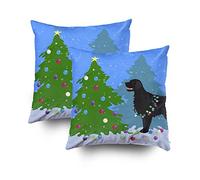 Ariana Grande eternal sunshine deluxe: brighter days ahead (CD) Album