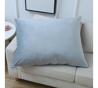 Fundas De Almohada Rectangular 50x70 40x70，Fundas De Cojín 60x80,Funda Cojín 40x60 Cm Con Cremallera Cushion Covers Decorativa de Terciopelo Para Sofá, Dormitorio, Silla ( Color : Gray blue , Size : 5