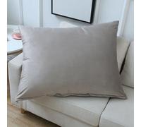 Fundas De Almohada Rectangular 50x70 40x70，Fundas De Cojín 60x80,Funda Cojín 40x60 Cm Con Cremallera Cushion Covers Decorativa de Terciopelo Para Sofá, Dormitorio, Silla ( Color : Champagne , Size : 5