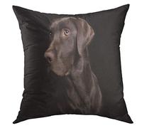 Fundas De Almohada Retriever Brown Dog Low Key of Chocolate Lab On Black In Three Quarter Profile Labrador Dark Cushion Covers Suave Fundas Cojines para Dormitorio Camping Coches 45x45 CM
