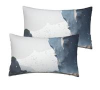 Fundas de almohada únicas y elegantes, con impresión de doble cara a toda la cara, perfectas para decoración del hogar y regalo de una piedra que cae del cielo, 30,5 x 50,8 cm