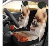 Fundas de asiento delantero de perro pomerania de pelo corto, fundas de asiento de coche solo asientos delanteros, fundas protectoras de asiento de vehículo para automóviles, funda protectora