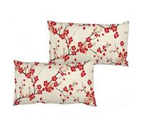 Fundas de Cojín 30 x 50 cm Juego de 2, Fundas Rectangulares de Terciopelo, Cojines sofa azul mapa, Cojines Decorativos para Verano, Cojines Exterior con Cremallera Invisible, Diseño Moderno, S0-643