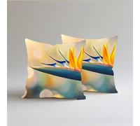 Fundas de Cojín 60x60cm, Juego de 2 Cundas para Cojines Decorativas de Terciopelo, Cojines de Sofá, Cushion Covers con Cremallera Oculta para Dormitorio, Oficina,Sofá Exterior Flores Paisaje 8 S0A-214