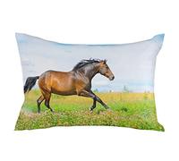 Fundas De Cojín A Horse Galloping On The Flower Meadow Almohada Caso Colorida Fundas De Almohada Lavable Throw Pillow Case para Salón Sillas Dormitorio 40X60CM