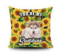 Fundas De Cojín Cute Dog Alaskan Malamute Sunflowers Spring Summer Flower You Are My Sunshine Funda Cojines Moderna Fundas De Almohada Lavable Almohada Caso para Dormitorio Sofa Oficina 45X45CM