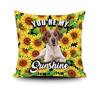 Fundas De Cojín Cute Dog Brittany Spaniel Sunflowers Spring Summer Flower You Are My Sunshine Fundas De Almohada Elegantes Funda Cojines Moderna Almohada Caso para Sofa Oficina 45X45CM