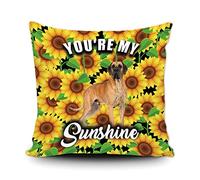 Fundas De Cojín Cute Dog Great Dane Sunflowers Spring Summer Flower You Are My Sunshine Fundas De Almohada Decorativa Almohada Caso Lavable Funda Cojines para Oficina Sofa Salón 45X45CM