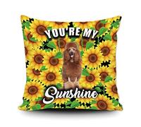 Fundas De Cojín Cute Dog Red Standard Poodle Sunflowers Spring Summer Flower You Are My Sunshine Funda Cojines Decorativa Throw Pillow Case Lavable Almohada Caso para Salón Oficina Sofa 45X45CM