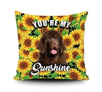 Fundas De Cojín Cute Dog Sunflowers Spring Summer Flower You Are My Sunshine Throw Pillow Case Decorativa Almohada Caso Moderna Fundas De Almohada para Dormitorio Salón Sofa 45X45CM