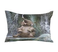 Fundas De Cojín Funny The Elephant's Nose Is Spraying Water Throw Pillow Case Lavable Almohada Caso Moderna Fundas De Almohada para Sillas Dormitorio Habitación 40X60CM