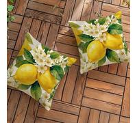 Fundas de Cojín para Exterior Impermeables Juego de 2 Lino Decorativas Funda Cojin 40x40 cm con Cremallera Oculta, Limón Cuadrado Fundas Cojines Sofa para Patio Banco Sala de Estar, (Flor) L-L246