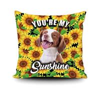Fundas De Cojín Sunflowers Spring Flower with Cute Brittany Spaniel Dog You Are My Sunshine Throw Pillow Case Lavable Fundas De Almohada Moderna Funda Cojines para Sofa Oficina 45X45CM