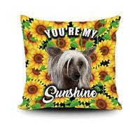 Fundas De Cojín Sunflowers Spring Flower with Cute Chinese Crested Dog You Are My Sunshine Throw Pillow Case Elegantes Almohada Caso Moderna Fundas De Almohada para Oficina Sofa Salón 45X45CM