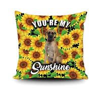 Fundas De Cojín Sunflowers Spring Flower with Cute Great Dane Dog You Are My Sunshine Throw Pillow Case Moderna Almohada Caso Lavable Fundas De Almohada para Oficina Salón Dormitorio 45X45CM