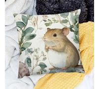Fundas para Cojines Beatrix Potter Juego De 2 Suave Fundas De Cojines para Hogar Jardín Sofá