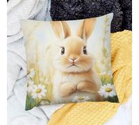 Fundas para Cojines Margaritas De Conejo Beatrix Potter Juego De 2 Suave Fundas Cojines para Coche Granja Cama