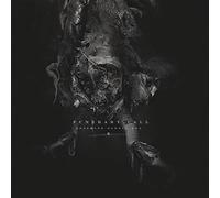 Funerary call - The mirror reversed ii